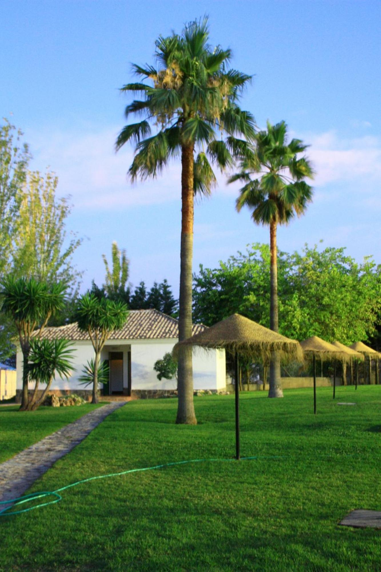 Camping Sierra De Las Nieves Yunquera Exteriér fotografie